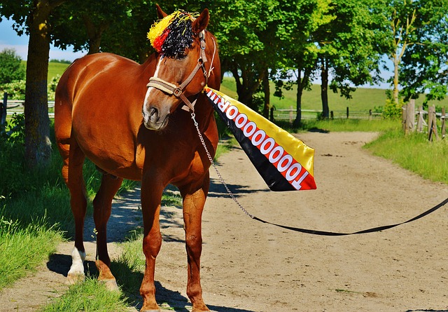 甚至在私下 甚至在私下