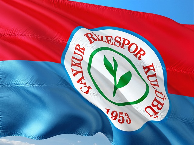 和裁判判罚 和裁判判罚