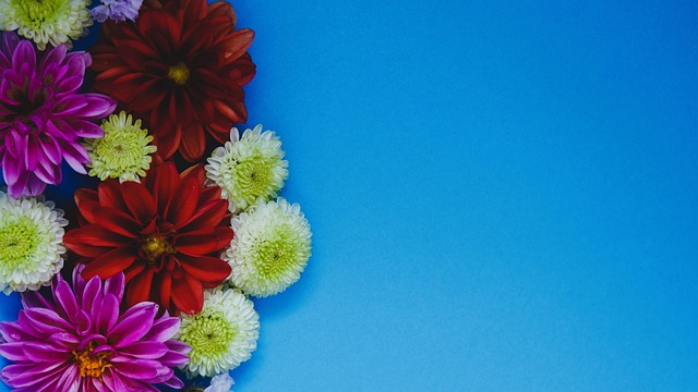 角逐冠軍 角逐冠軍