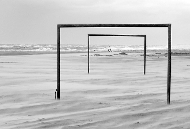奇的职业生 奇的职业生